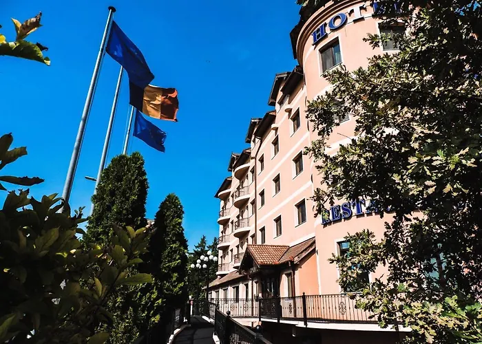 Hotel Coandi