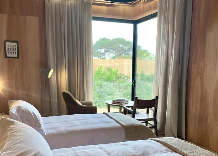 Rizoma