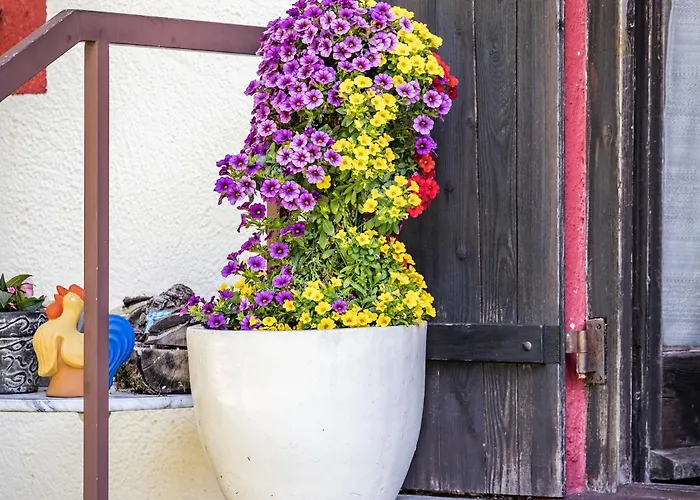 Hotel- Pension Oechsner Bad Reichenhall