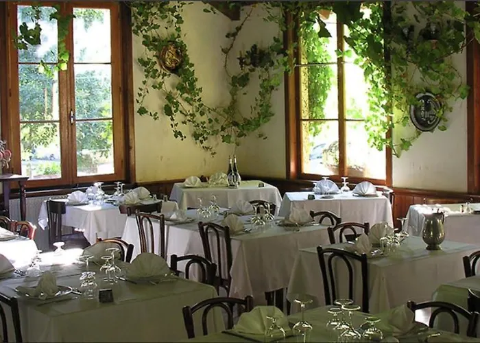 Hotel Monte d'Oro