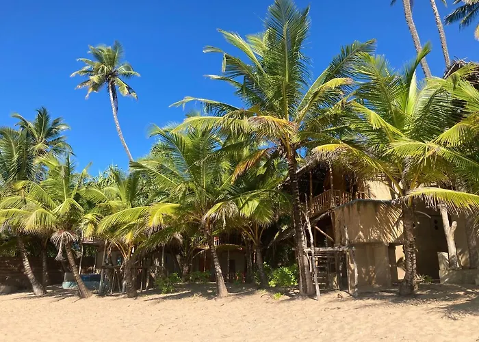 The Alpha Monkey Hotel & Tree House