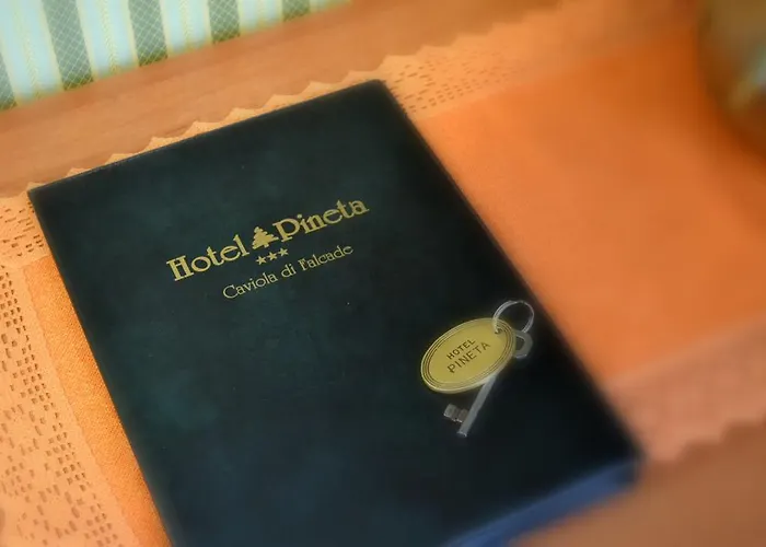 Hotel Pineta