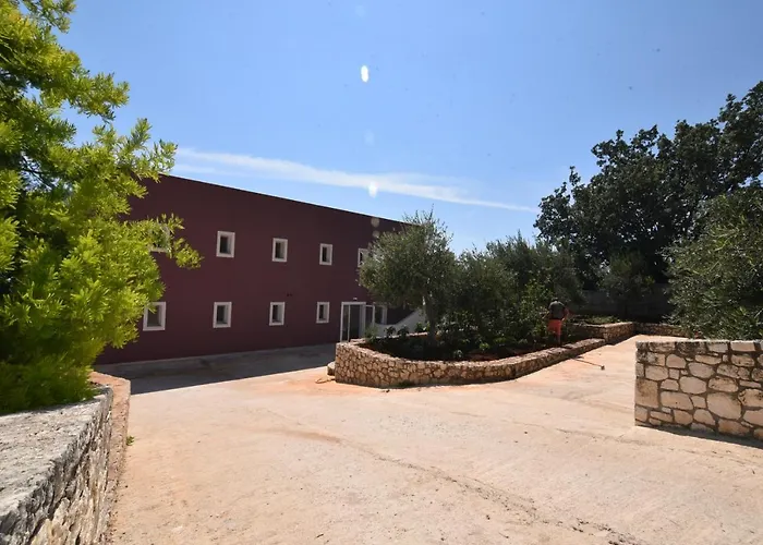 Dima Vista
