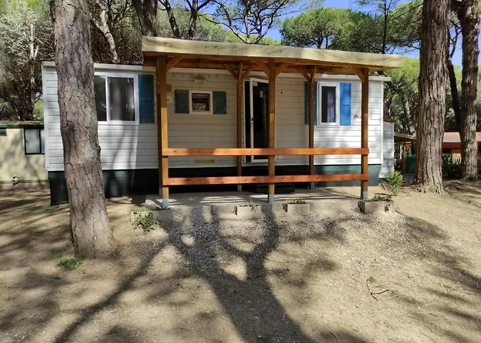 Mipro Mobilhome 5