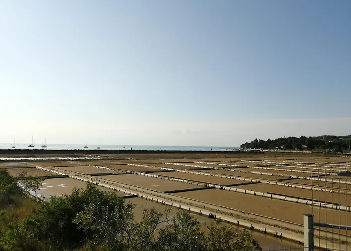 Apartma Pinea