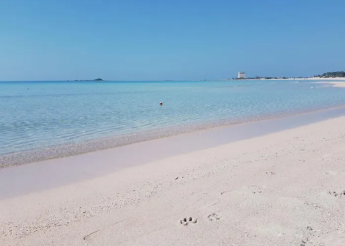 Hotel Posidonia