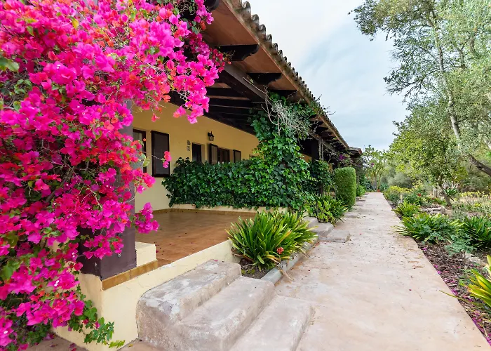 Hotel Rural Predio Son Serra