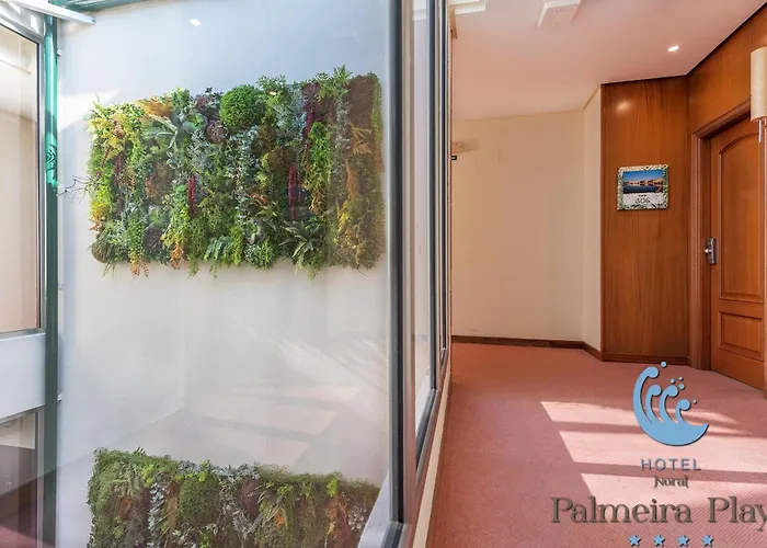 Hotel Norat Palmeira Playa