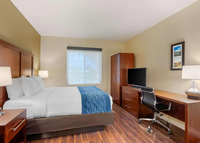 Comfort Inn & Suites Near Ontario Airport