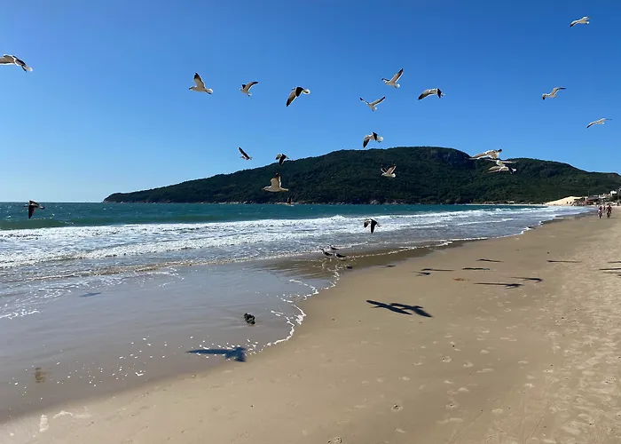 Hotel & Pousada Favareto - Praia Dos Ingleses