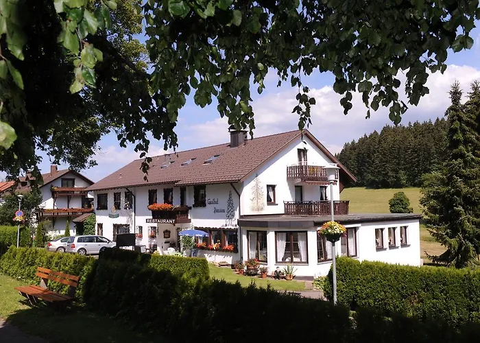 Hotel Gasthof Schwarzwaldtanne Schönwalde