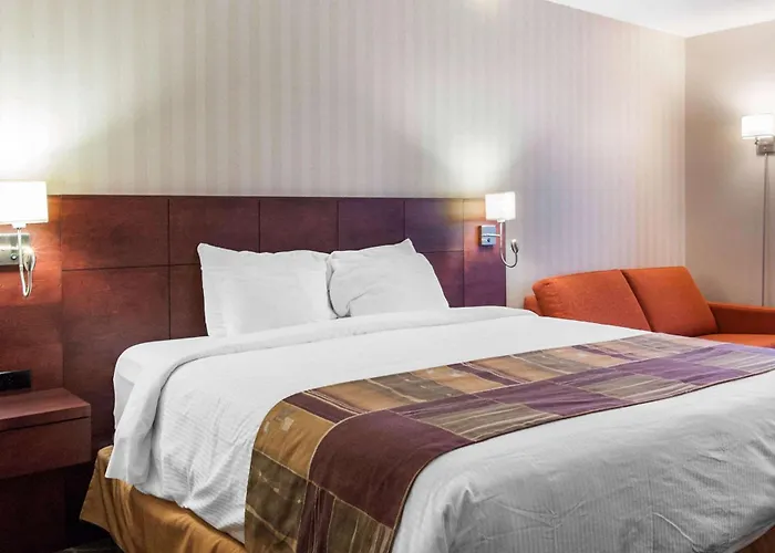 Quality Hotel & Suites