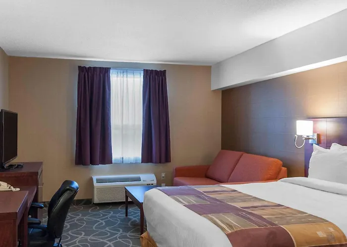 Quality Hotel & Suites