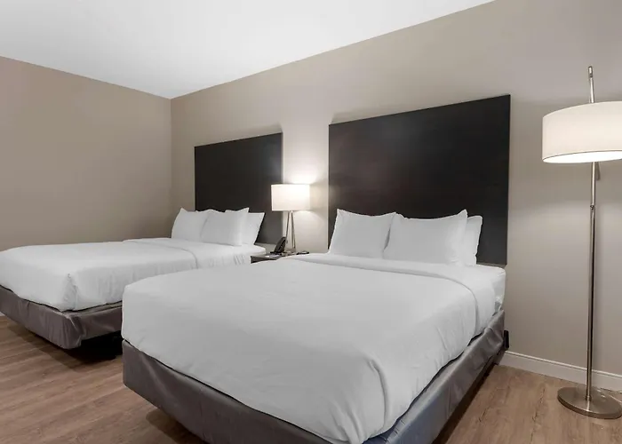 Comfort Suites Cincinnati University - Downtown