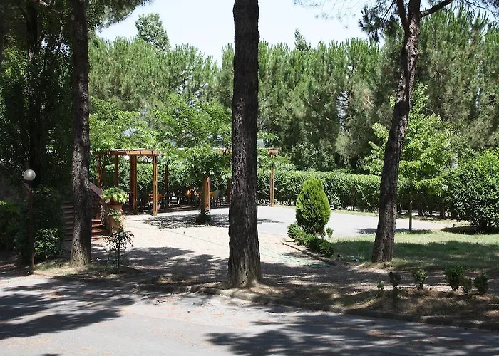 Hotel Ristorante Il Pino