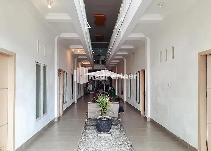 Hotel Puri Yasmin Potowanua Lasusua Mitra Reddoorz