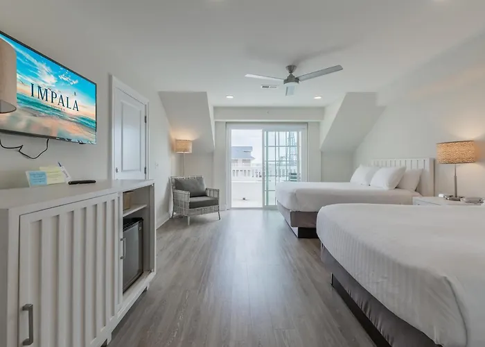 Impala Suites