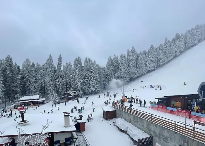 Hotel Forest Star On The Ski Slope