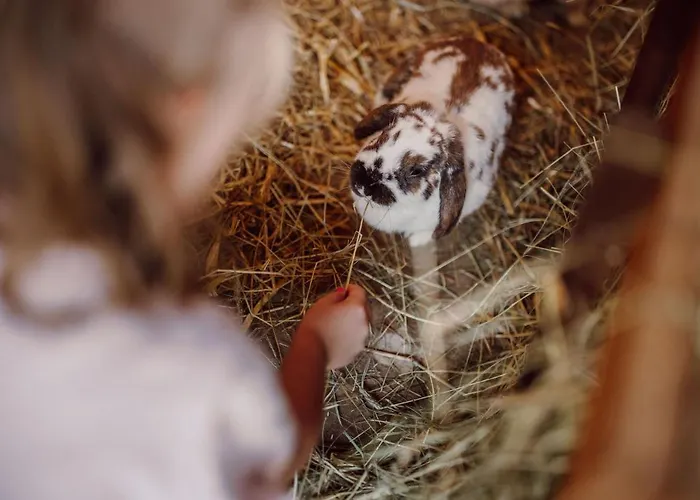 Lerchs Landhotel