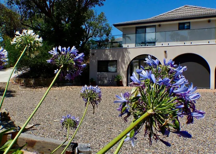 Ocean View Beachfront