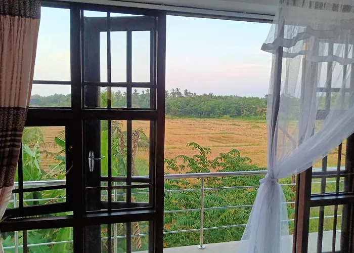 Freedom of Green Rice View