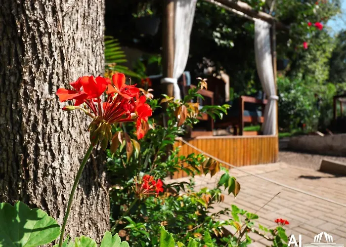 Aj Termas Hotel Irai