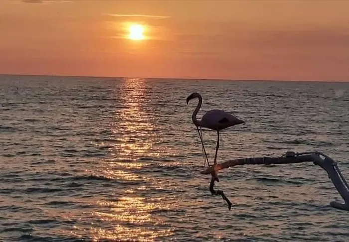 Affreschi sul mare
