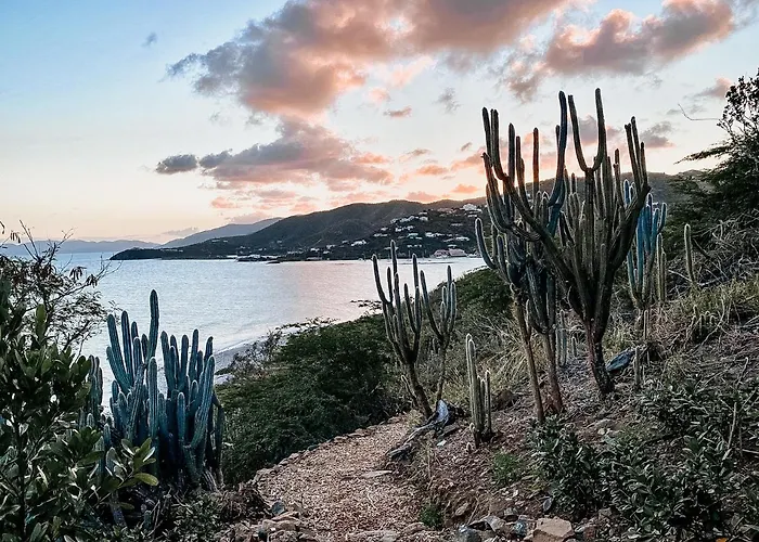The Aerial, Bvi