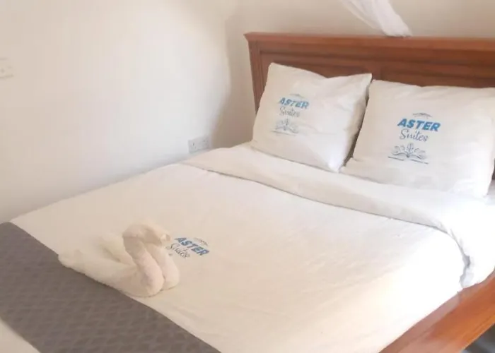 Aster Suites Kisumu