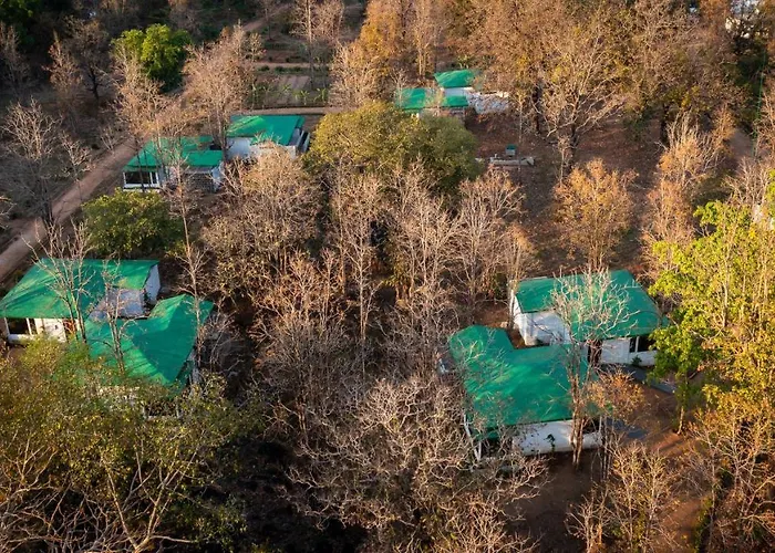 The Riverwood Forest Retreat - Kanha