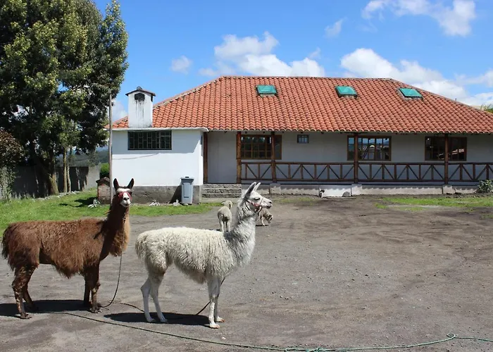 Rumipaxi Lodge