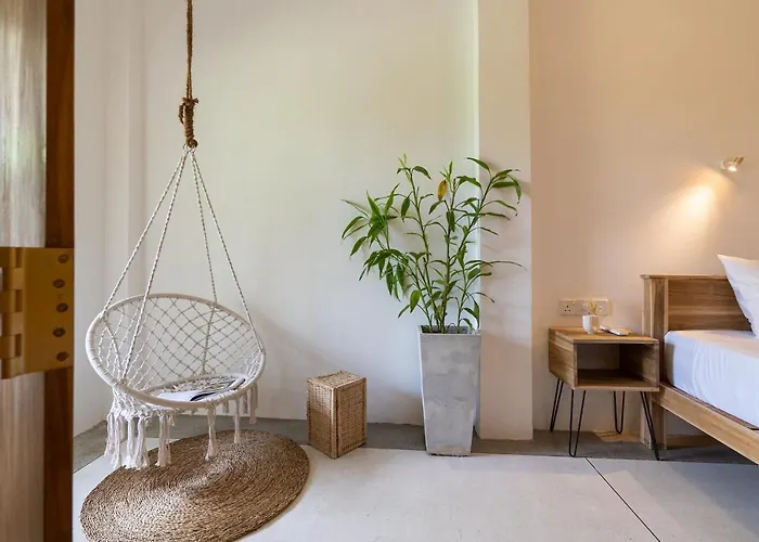 Nets Cowork & Colive