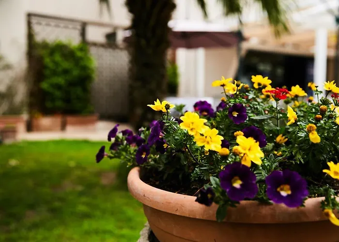 Hotel Vulci