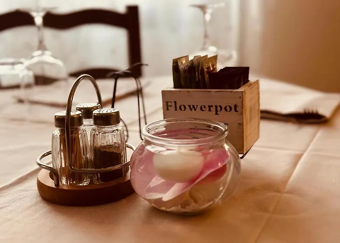 Hotel Banatium B&B Cucina
