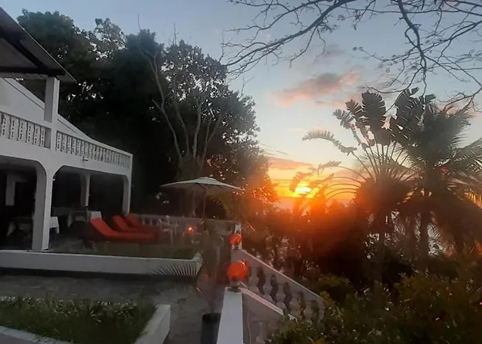 Le PANORAMIQUE ANKIFY
