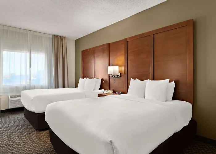 Comfort Suites University
