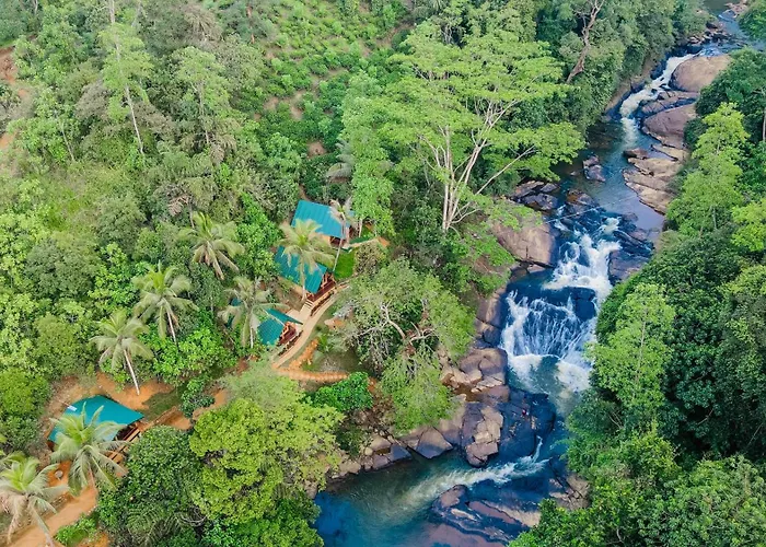 The Rainforest Hideaway