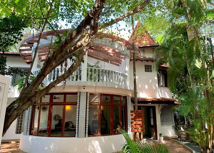 Jungle Addition