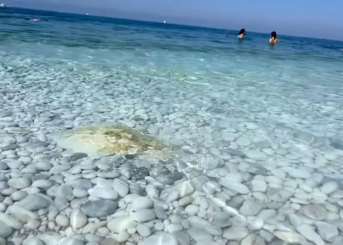 Casa Vacanze Marina di Pisa Catola