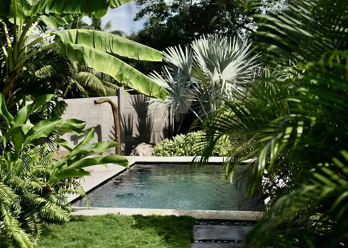 Casa Mexibali, Palapa Queen