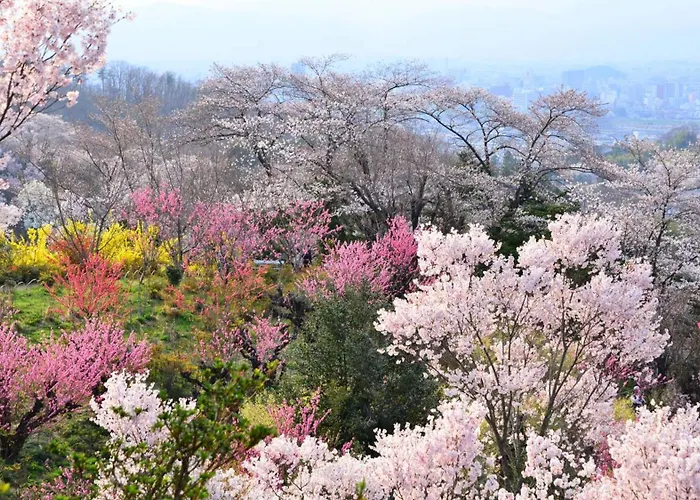 Toyoko Inn Fukushima-Eki Higashi-Guchi No 2