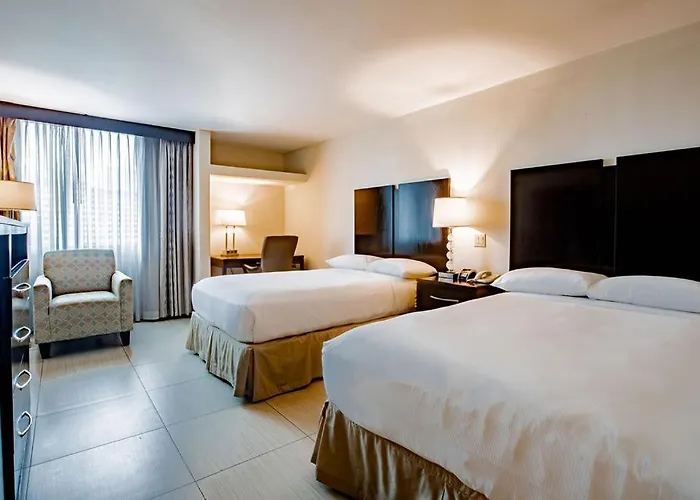 Studio Coliving Hotel