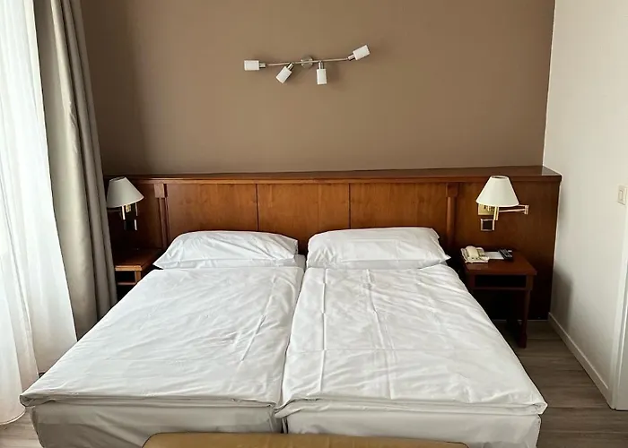 Hotel Des Alpes