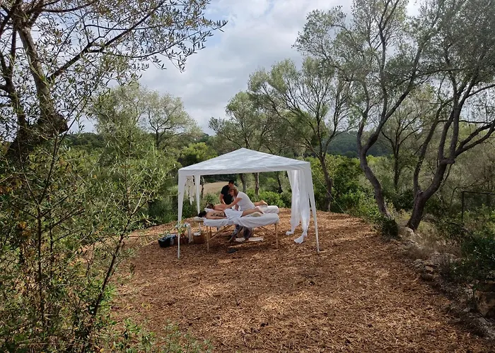 Fincahotel Treurer - Olive Grove & Grand House - Adults Only