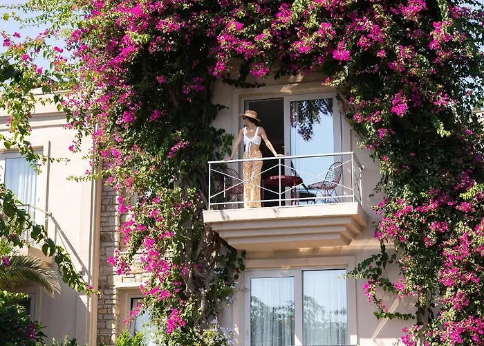 No81 Hotel