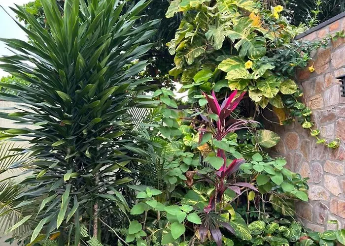 Hotel Hibiscus