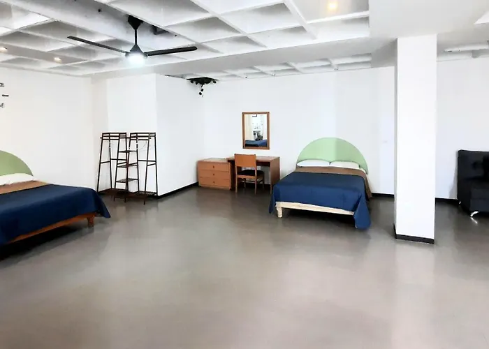 Hotel Allende 104