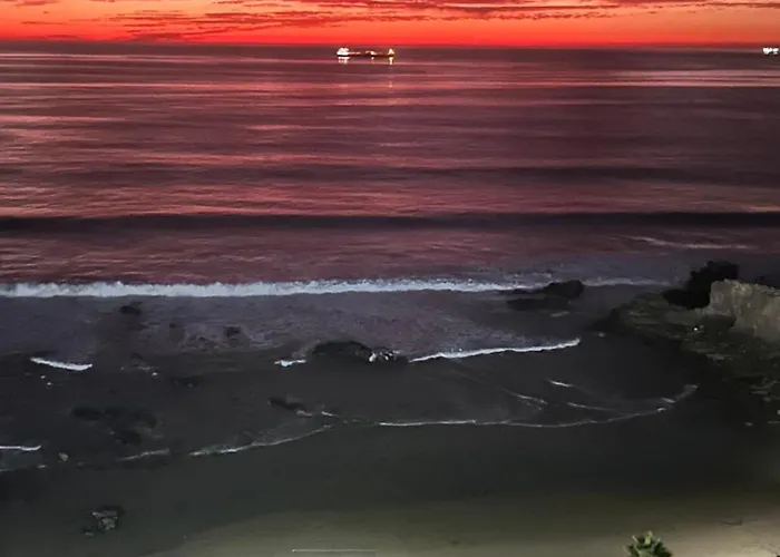 The Dolphins Ocean Front-Beach 2 Bedroom 2Bth