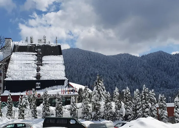 Hotel Piatra Mare