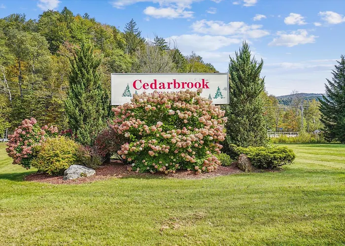 101 Cedarbrook Hotel Room